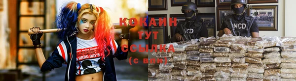бошки Алексин
