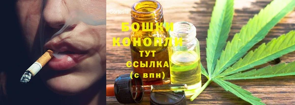бошки Алексин