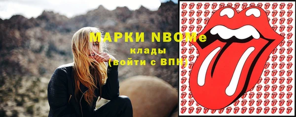 бошки Алексин