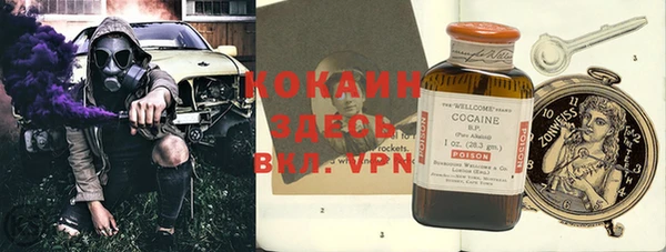 шишки Алзамай