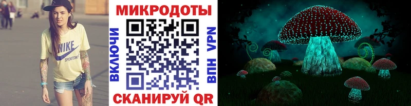 Псилоцибиновые грибы мицелий Курганинск